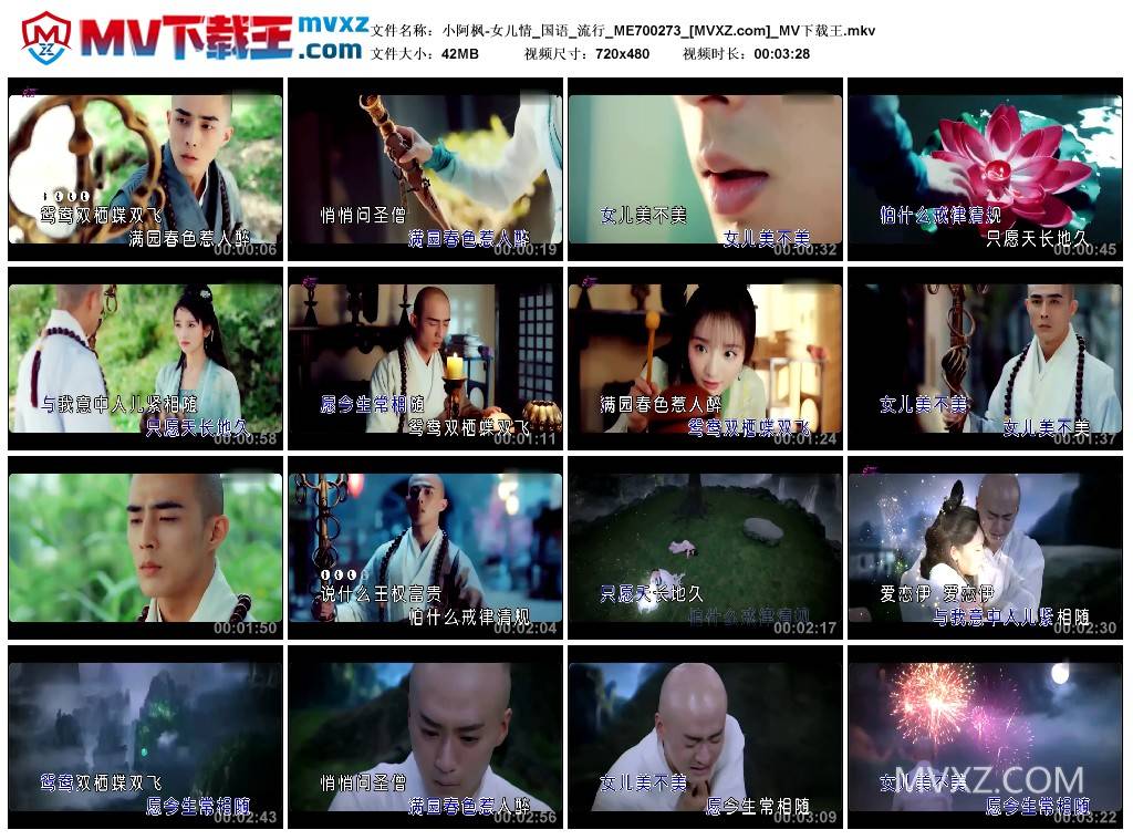 小阿枫-女儿情_国语_流行_ME700273